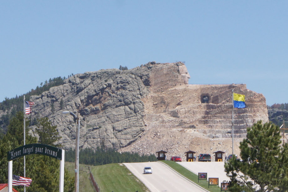 20110602Needles-Hwy-and-Wind-Cave-(116)