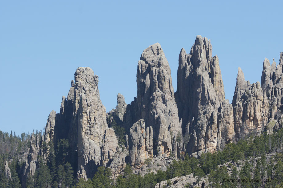20110602Needles-Hwy-and-Wind-Cave-(16)
