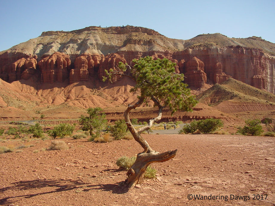 20060801Capitol-Reef-NP-(6)