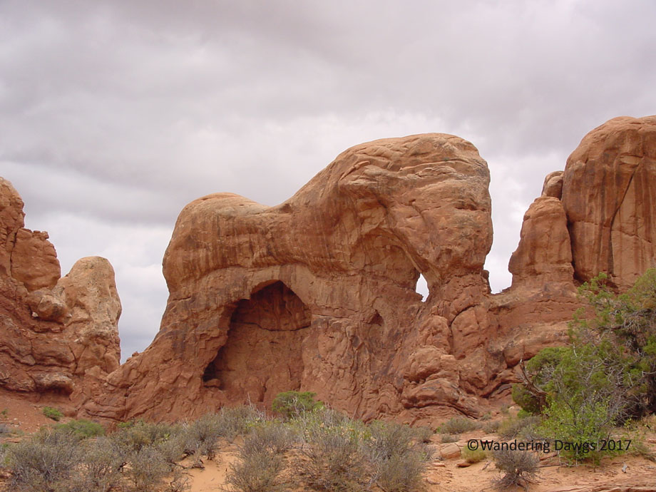 20060804Landscape-Arch-Hike-(38)Elephant