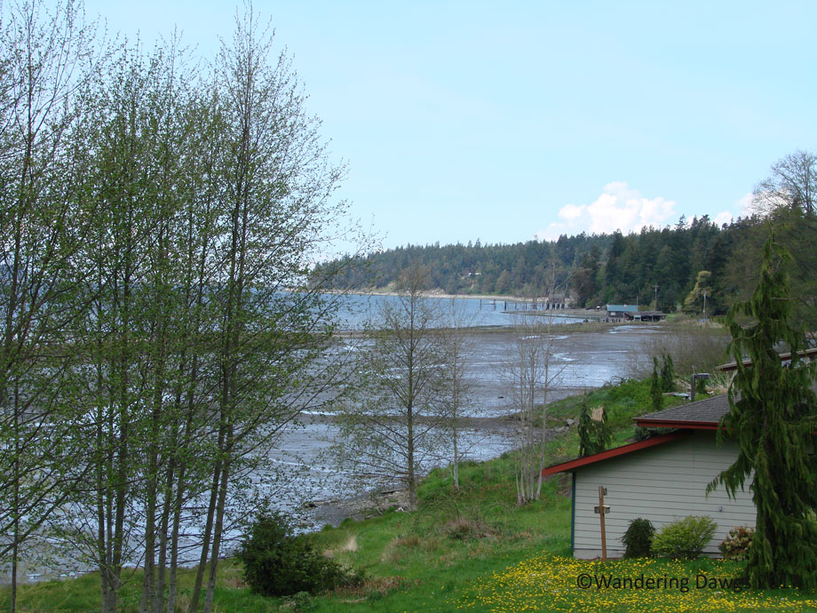 20070420Driving-to-Port-Angeles-(8)