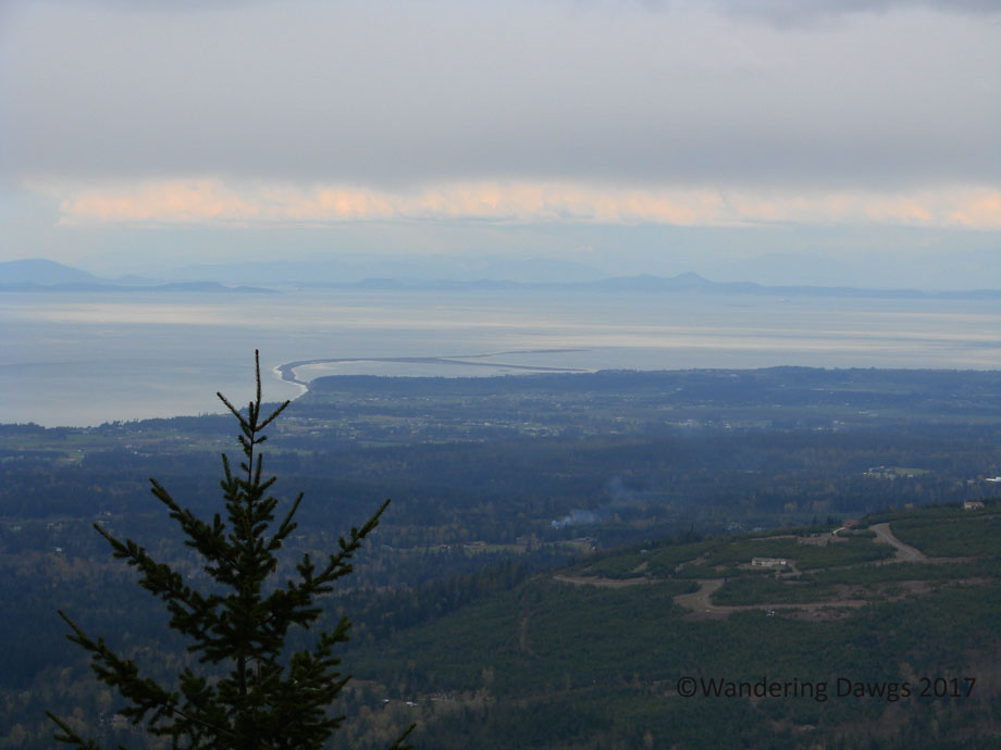 20070420Hurricane-Ridge-(51)