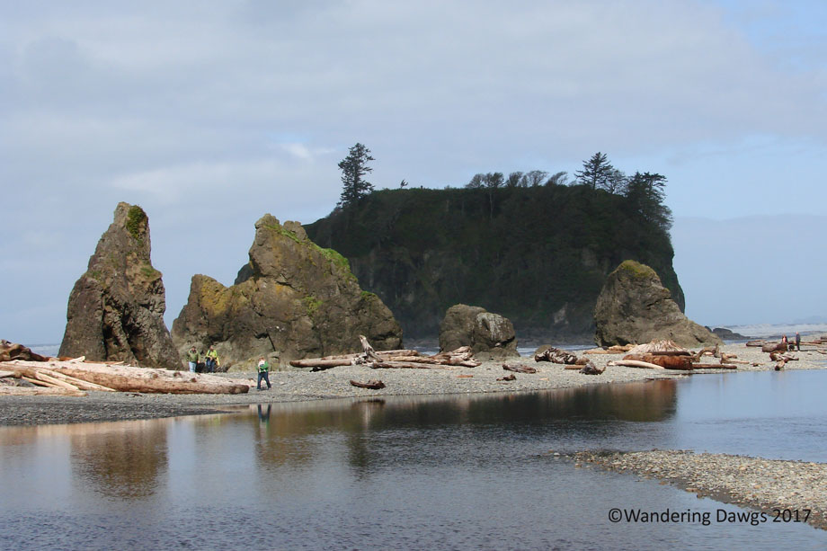 20070422bRuby-Beach-(2)