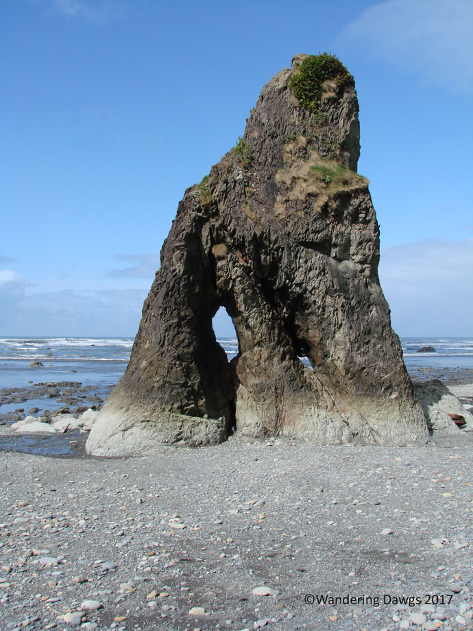 20070422bRuby-Beach-(3)