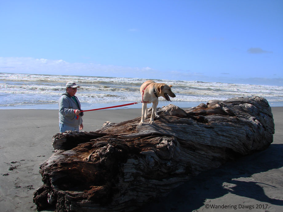 20070422dCape-Disappointment-(9)