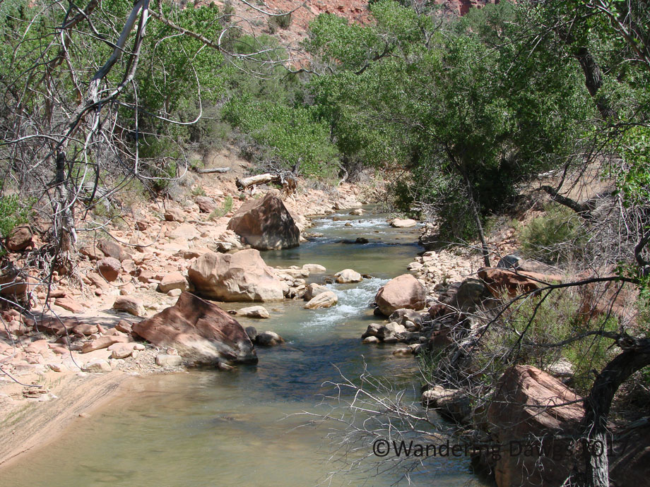 20070529Zion-(19)Virgin-River