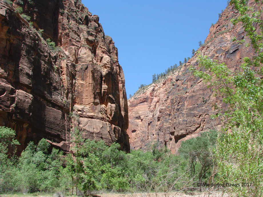 20070529Zion-(51)The-Narrows