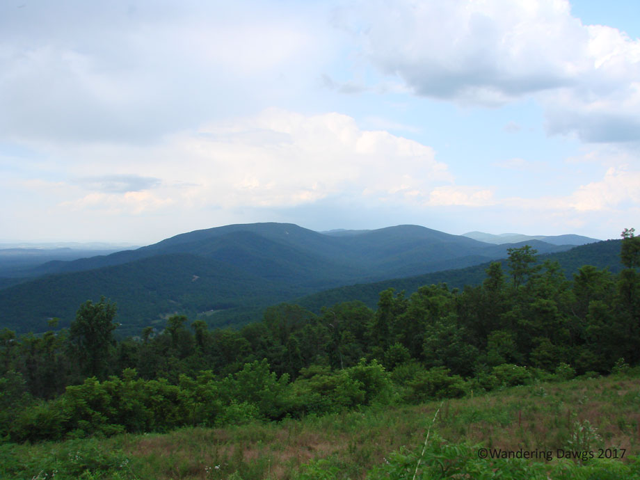 20080623Walnut-Hills-(24)Skyline-Drive