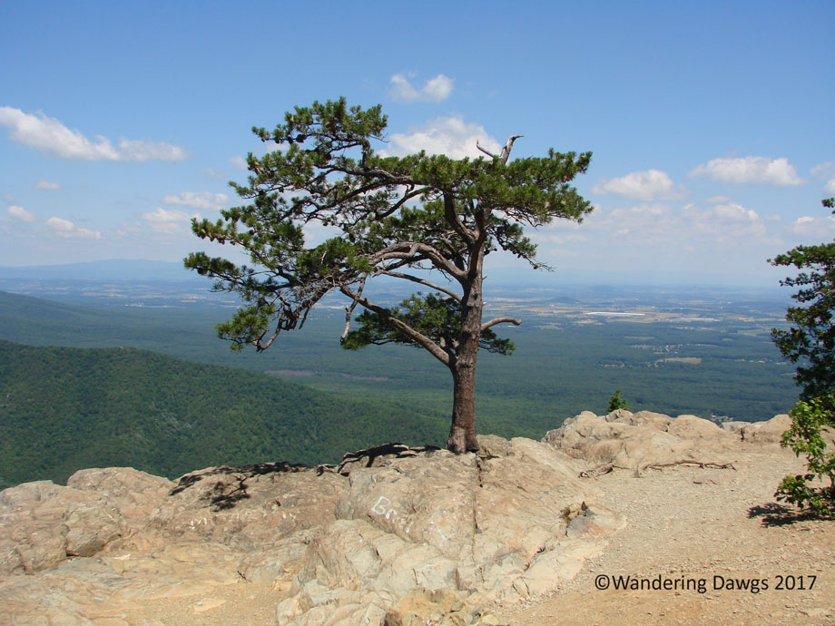 20080624Blue-Ridge-Pky-(19)