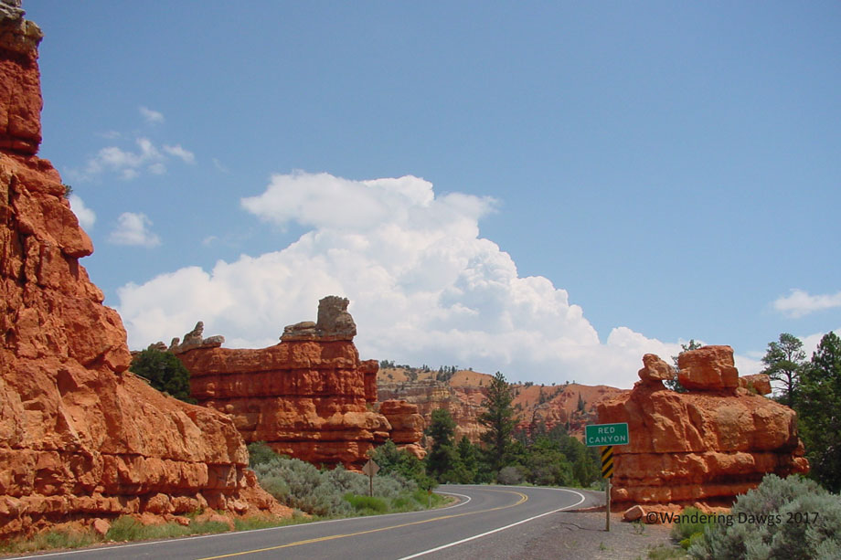 B20060730Red-Canyon-Utah-(2)