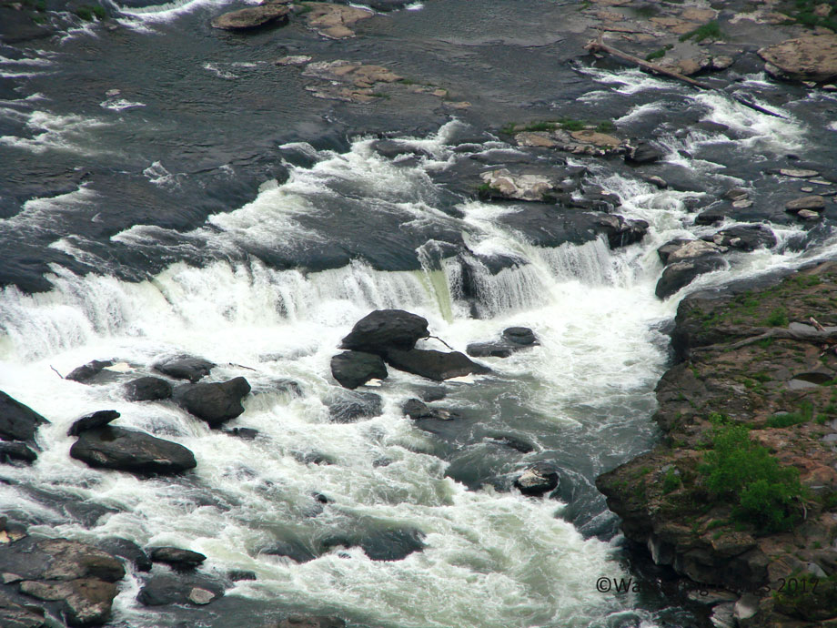 20080604New-River-Gorge-(17)