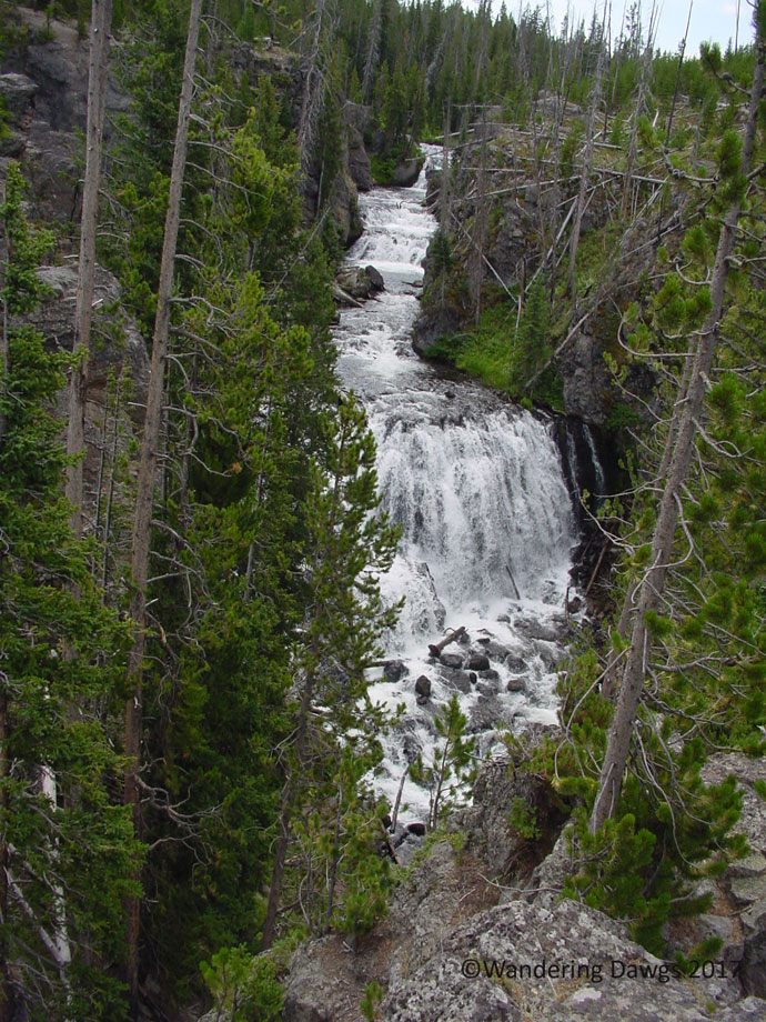 20060808Yellowstone-Lower-Loop-Rd-(20)