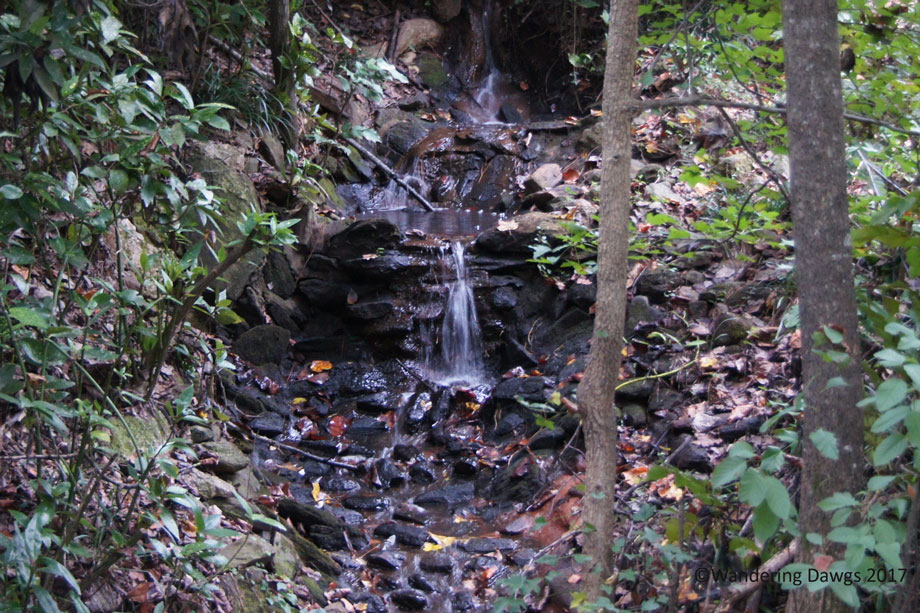 20171014Pine-Lake-(5)