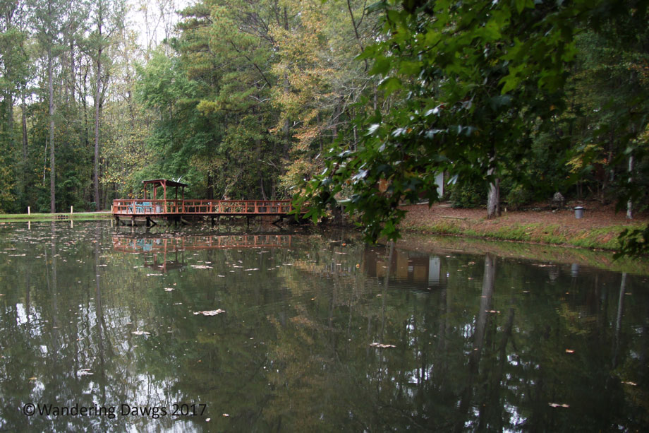 20171014Pine-Lake-(6)