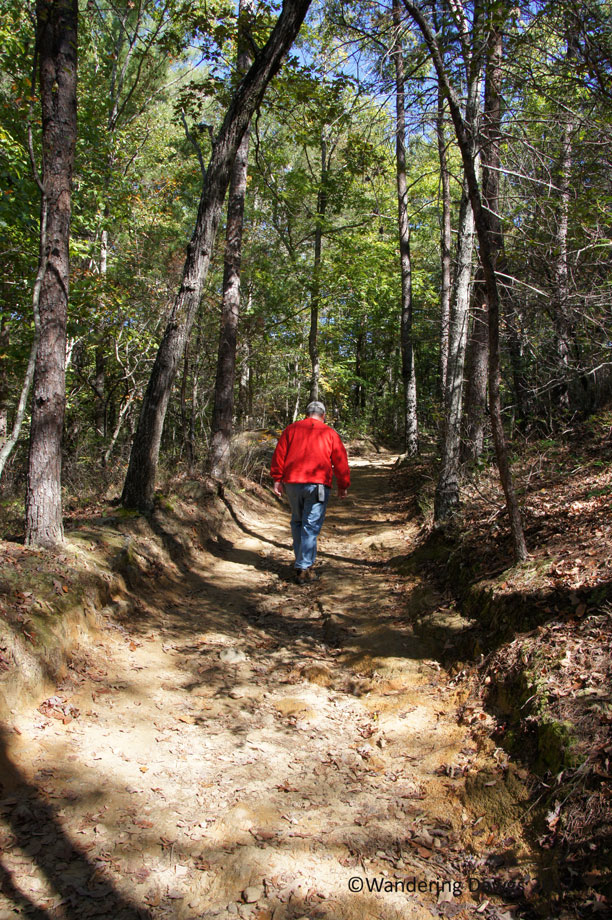 20171018Tallulah-Gorge-(33)