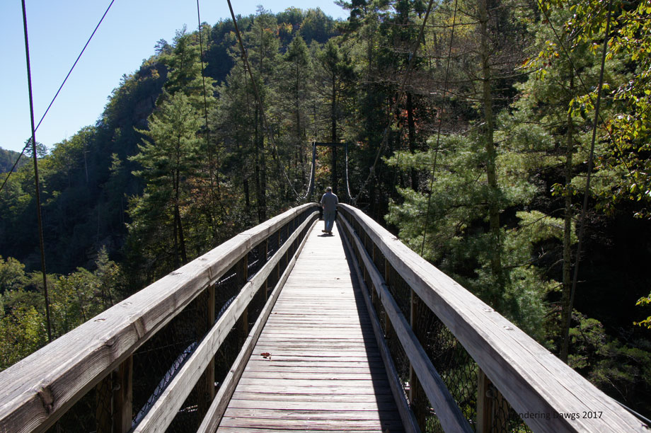 20171019Tallulah-Gorge-Suspension-Bridge-(12)