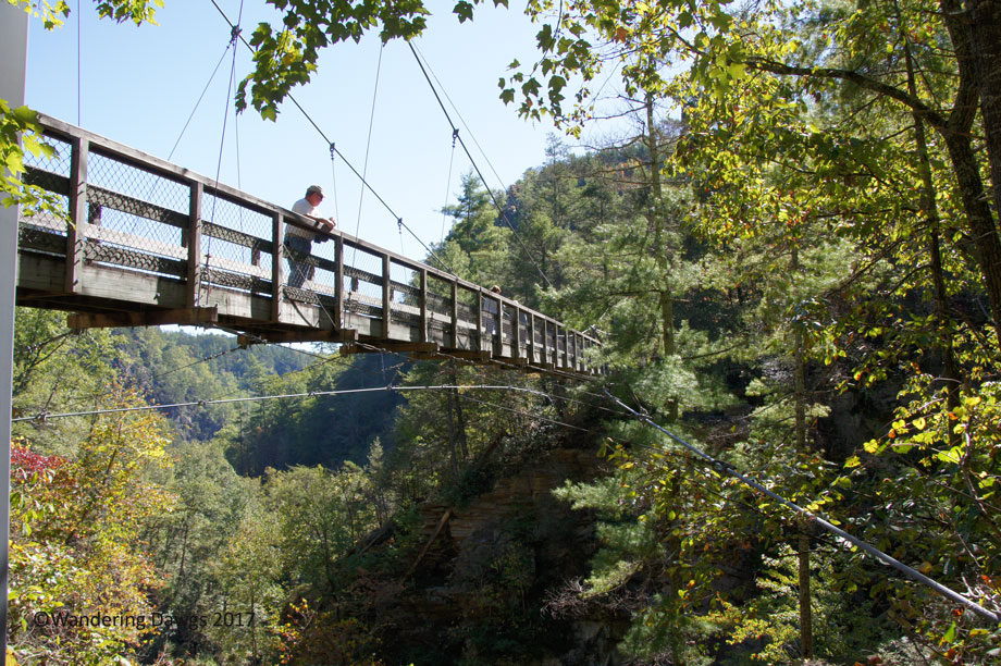 20171019Tallulah-Gorge-Suspension-Bridge-(45)