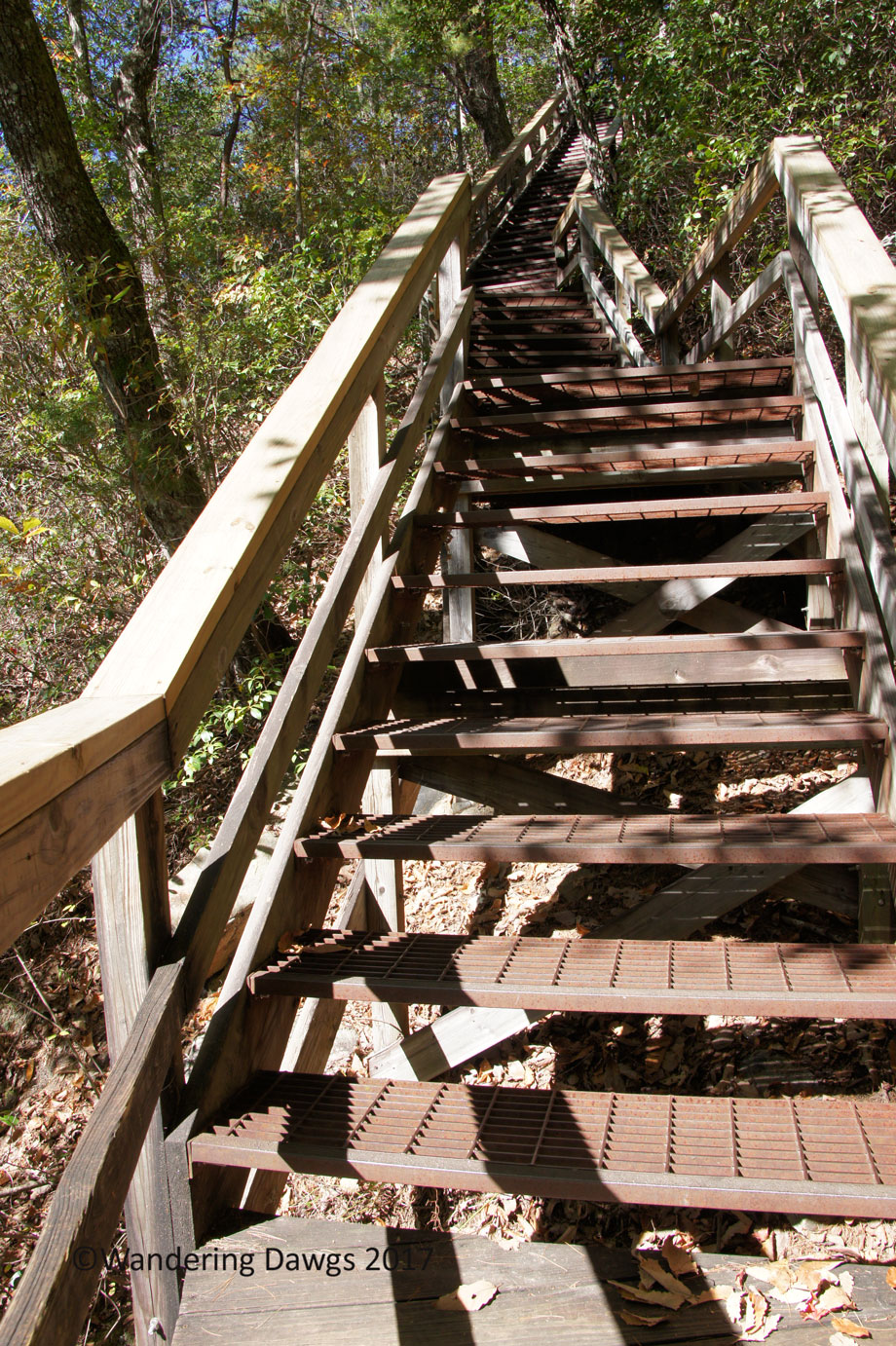 20171019Tallulah-Gorge-Suspension-Bridge-(46)