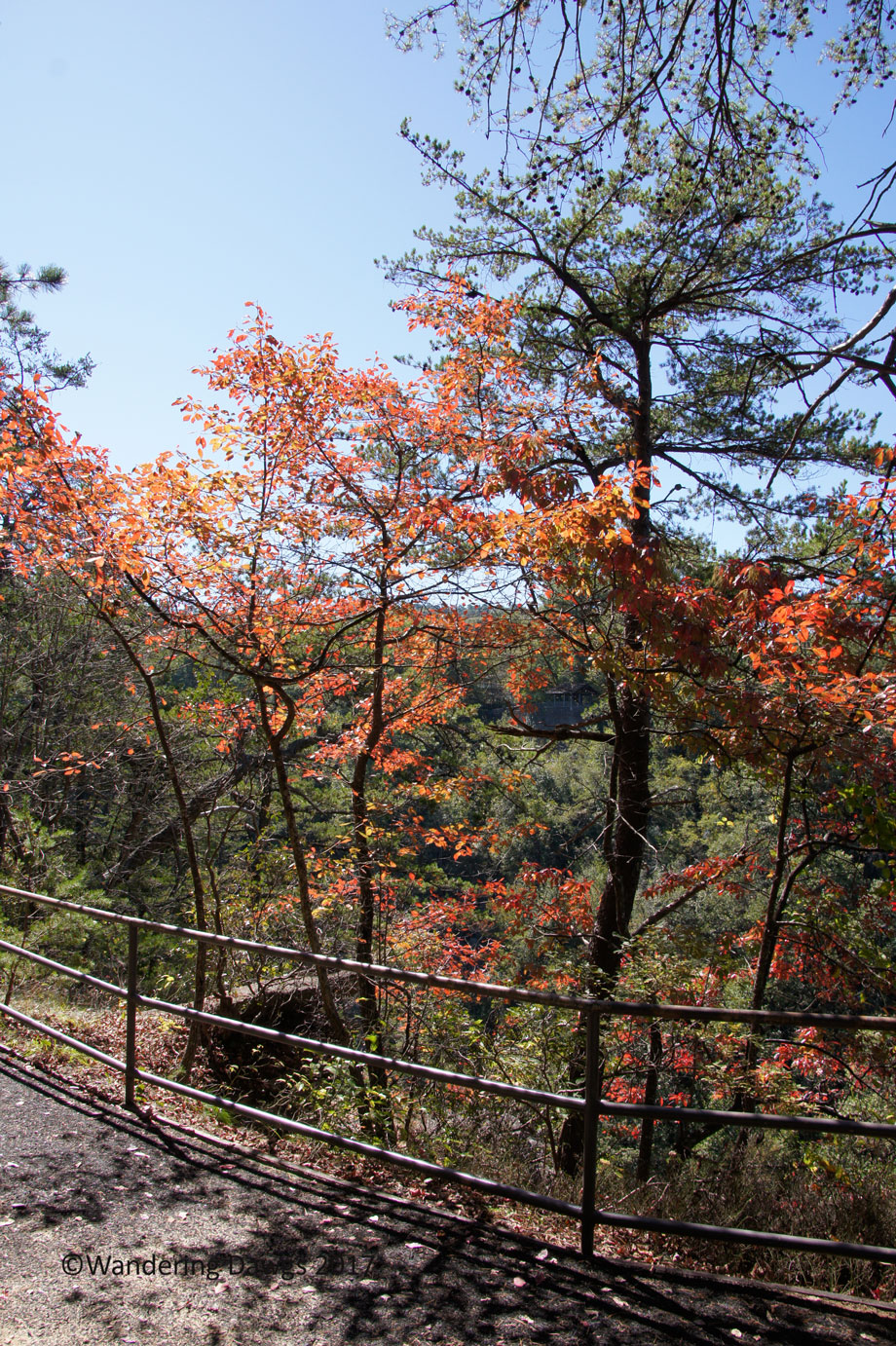20171019Tallulah-Gorge-Suspension-Bridge-(48)