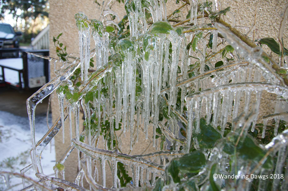 20180104Icy-Day-(51)