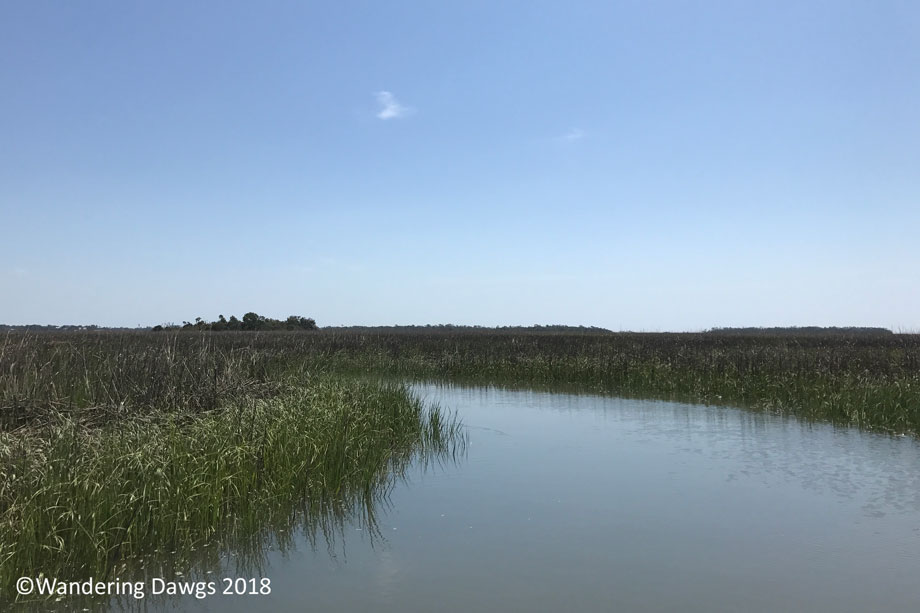 20170514Boat-Ride-(9)