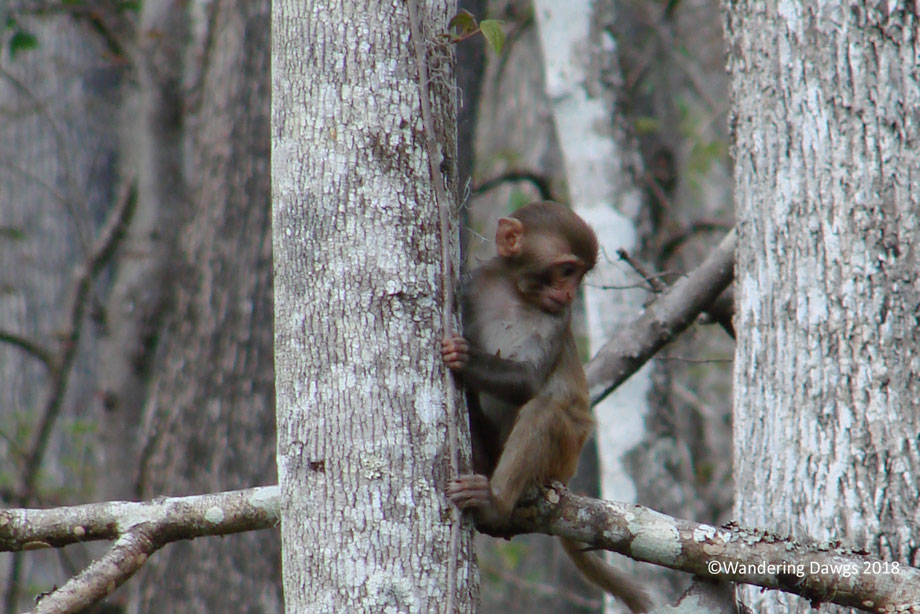 20090226Canoeing-with-Adam-and-Hannah-(11)