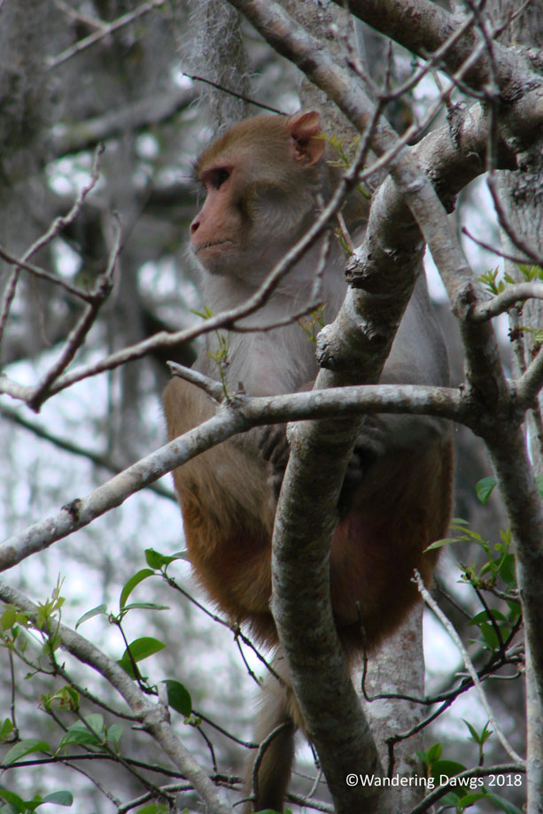 20090226Canoeing-with-Adam-and-Hannah-(9)