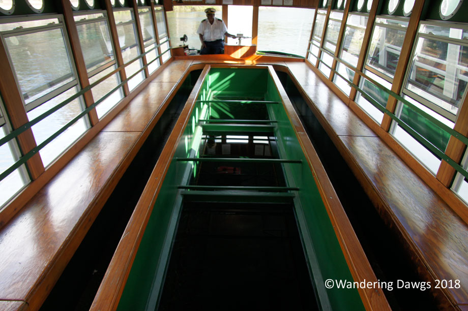 20180221Silver-Springs-Glass-Bottom-Boat-(28)