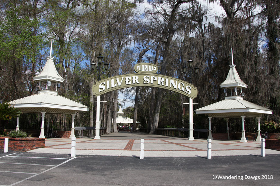 20180221Silver-Springs-Glass-Bottom-Boat-(9)