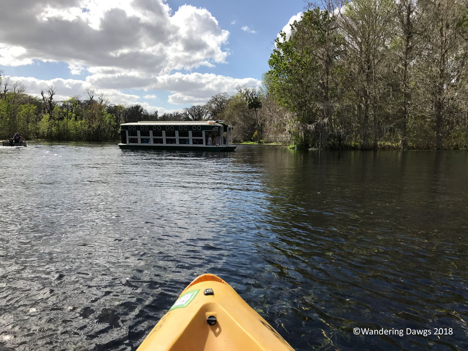 20180222Kayaking-(17)