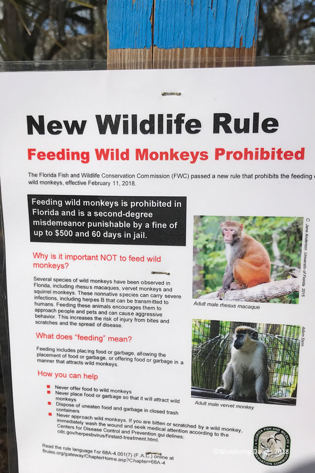 20180222Kayaking-(31)