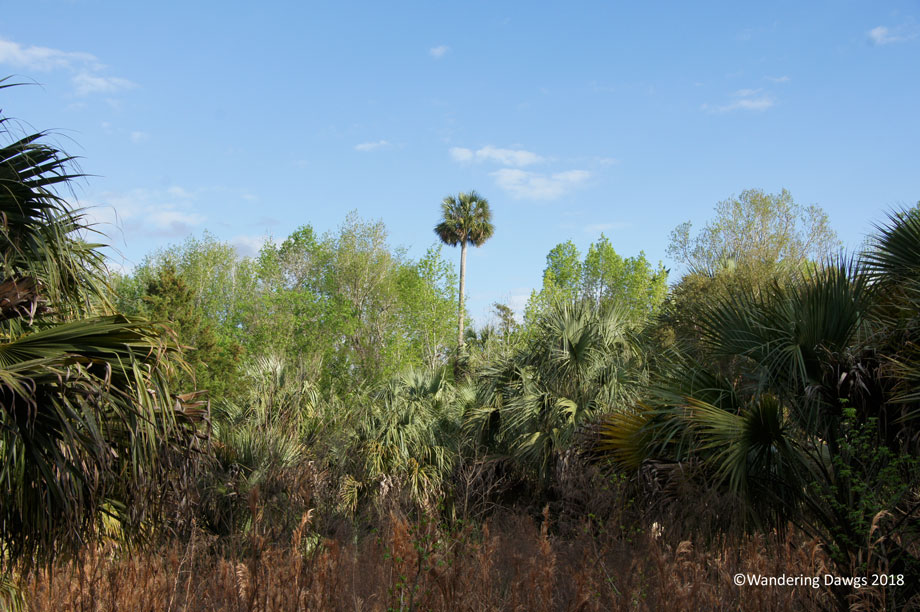 20180223River-Trail-(14)