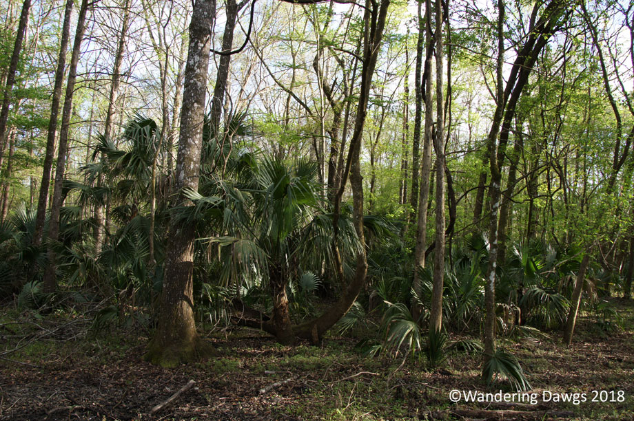 20180223River-Trail-(18)