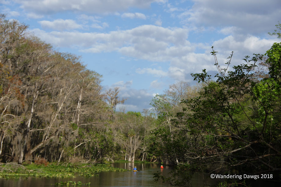 20180223River-Trail-(8)