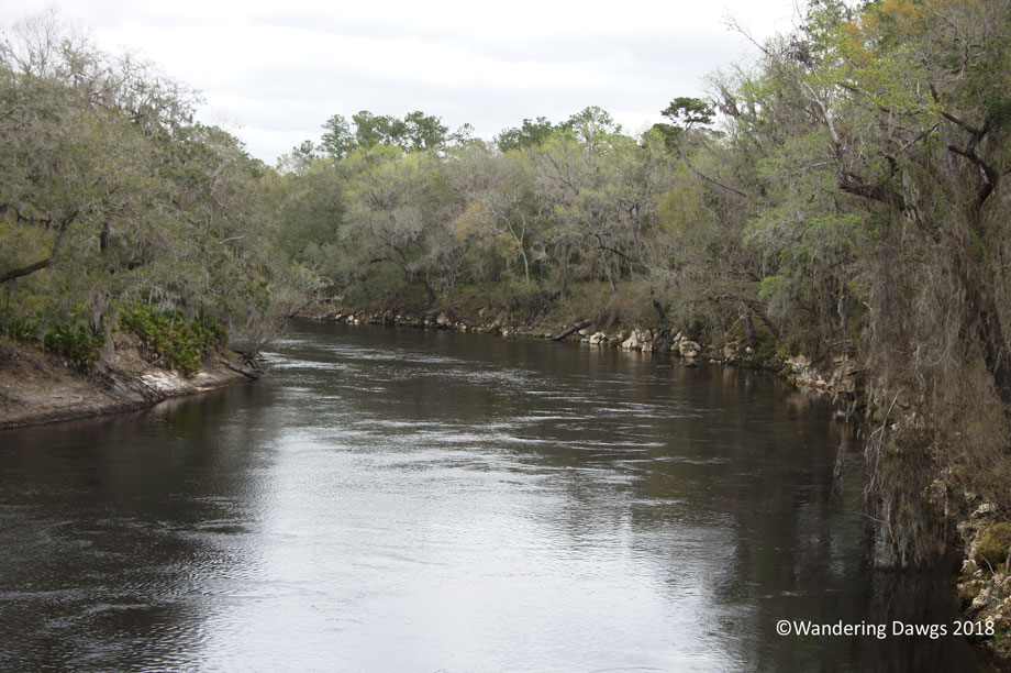 20180226Suwanee-River-SP-(14)