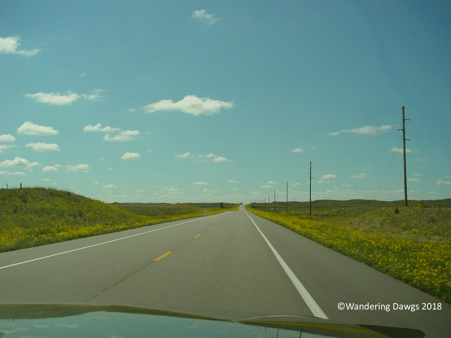 20060904Nebraska-(1)