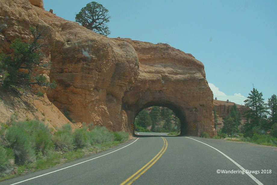 B20060730Red-Canyon-Utah-(8)