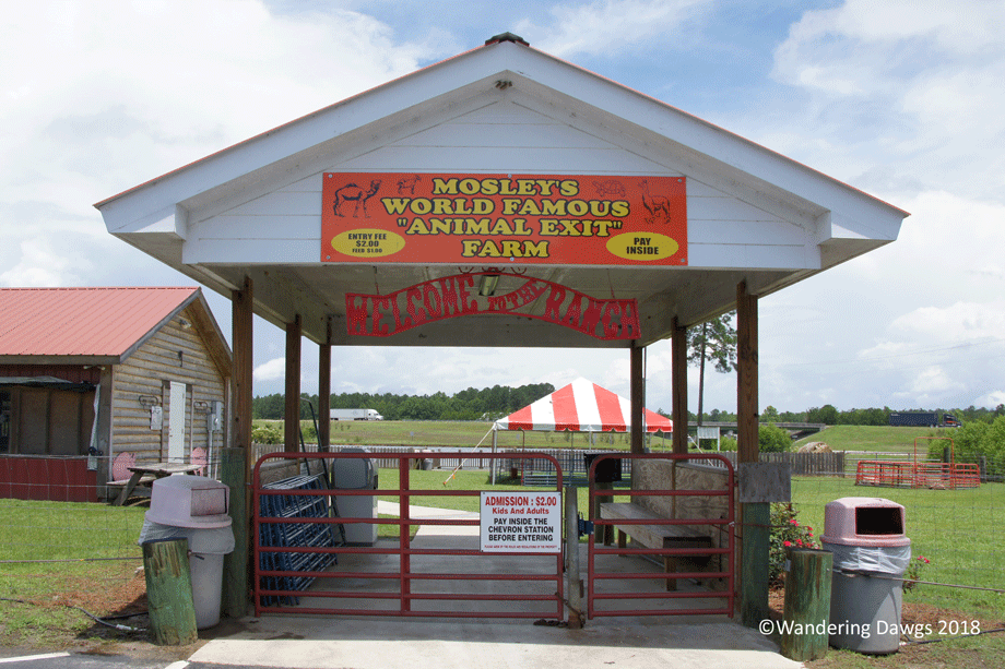 20180529Animal-Exit-(1)