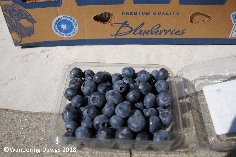 20180502Blueberries-(4)