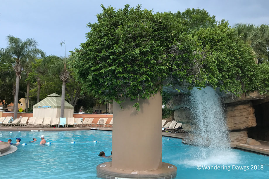 20180627Vistana-Oeen-and-Annabelle-(3)