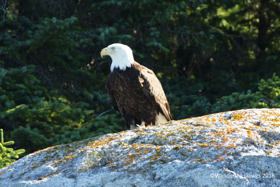 20130621Day-37Fjordland-to-Juneau-(177)