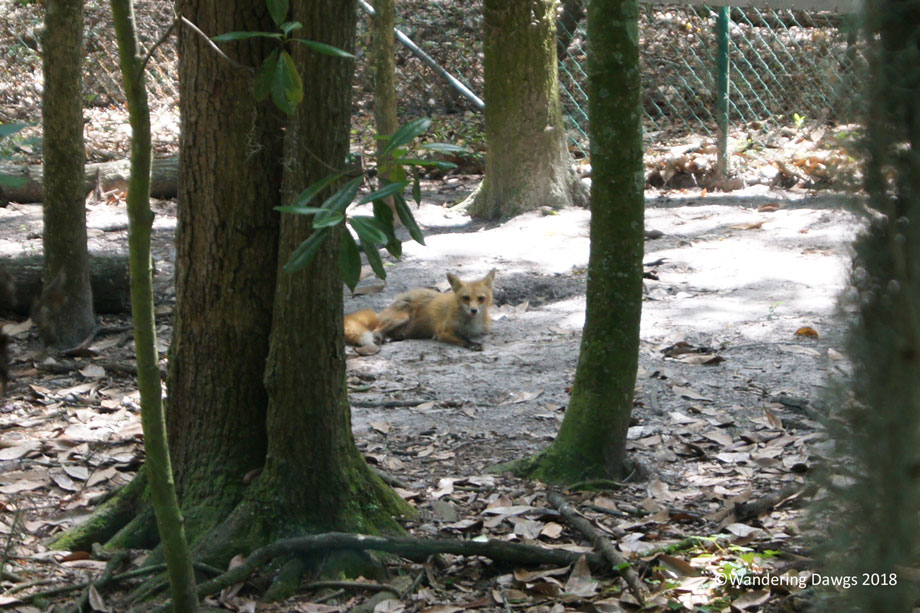 20140627Oatland-Island-(17)