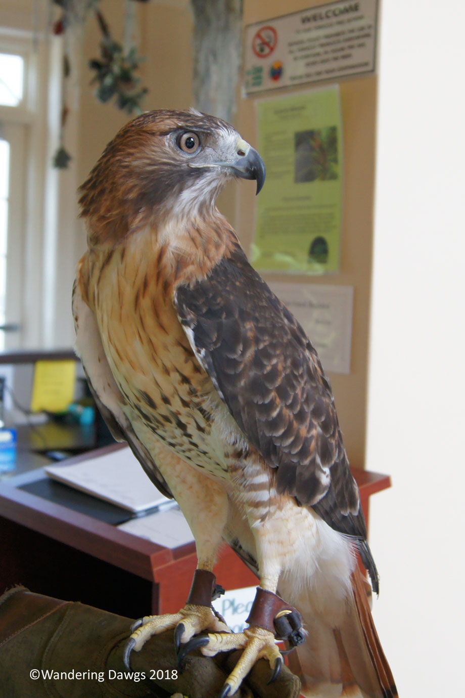 20140627Oatland-Island-(3)