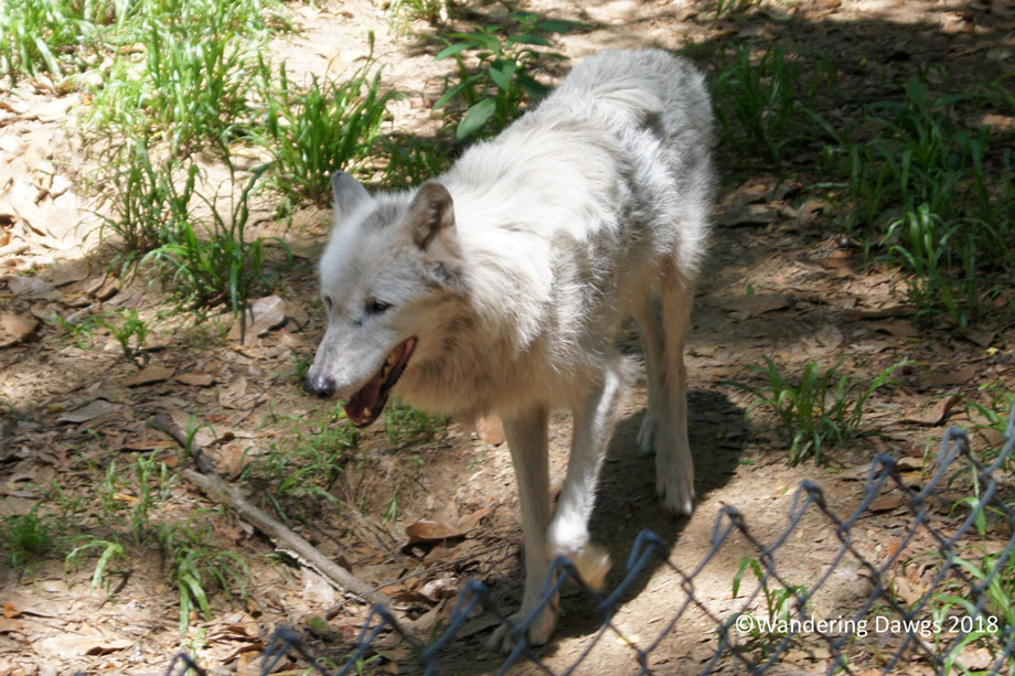 20140627Oatland-Island-(45)