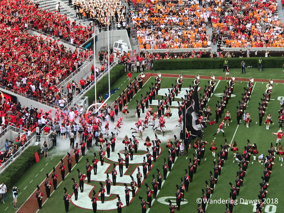 20180929-UGA-vs-Tennessee-38-12-(14)