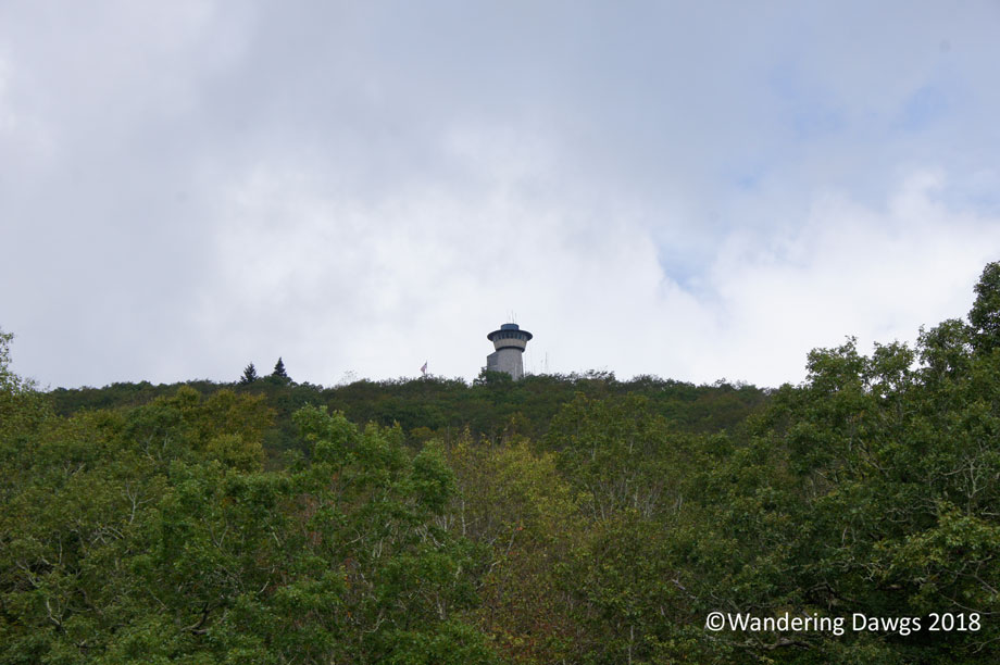 20181001Brasstown-Bald-(3)