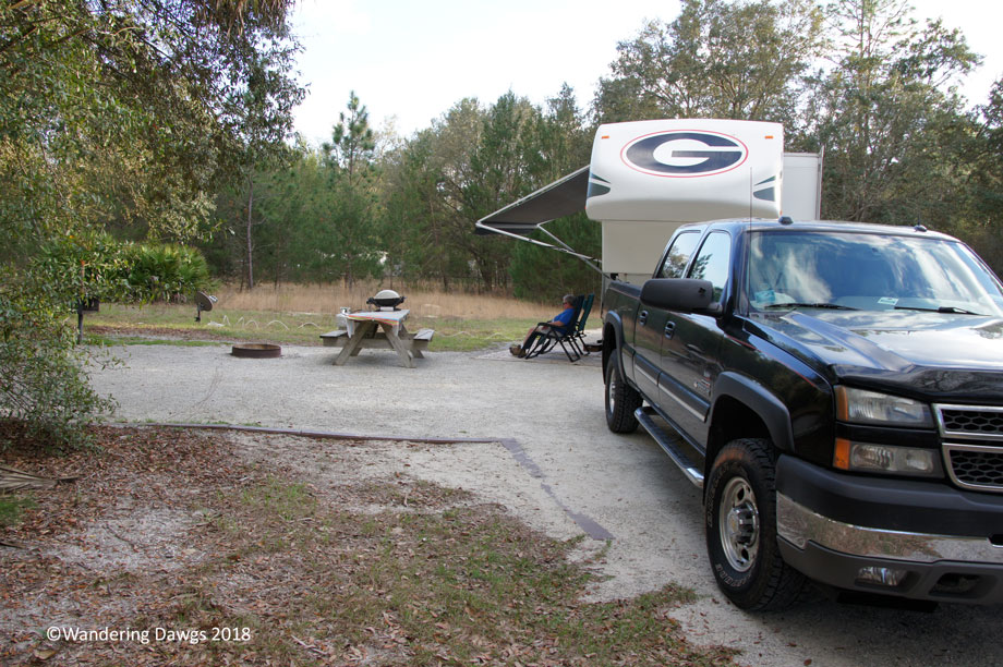 20180220Gopher-Tortoise-Silver-Springs-(2)