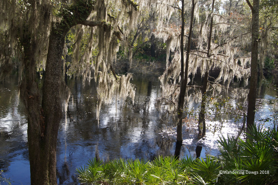 20181211-Stephen-Foster-(8)