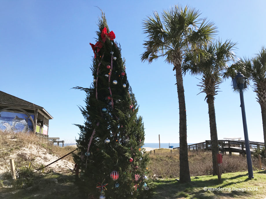 20181223-Tybee-Christmas-Tree-(6)