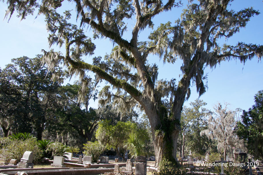 20190126-bonaventure-(54)